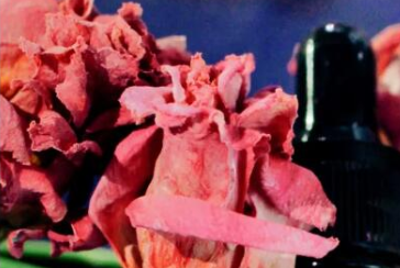 小红书提升关注和评论赞的技巧及代刷的相关问题 