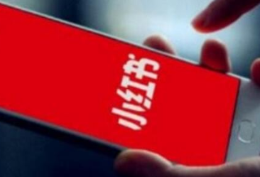 小红书粉丝和关注变慢的解决办法及代刷渠道 