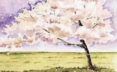 抖音购买死粉丝的经验分享及作用 