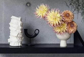 小红书活粉丝涨得慢的解决办法及购买的相关问题 