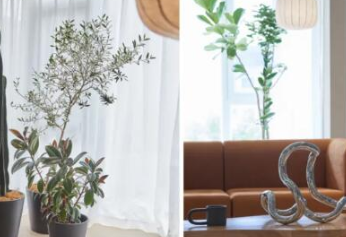 抖音上热门不显示涨粉丝的原因及涨粉技巧 