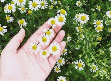 微博快速涨粉丝阅读量的方法介绍 