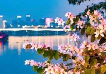 今日头条快速增加粉丝关注的奇招 