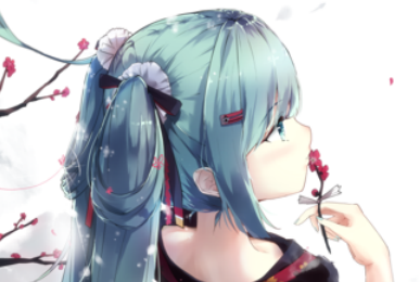 批发刷小红书粉丝和播放和评论赞的软件渠道及购买技巧 