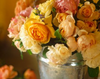 小红书刷点赞可行性及渠道 