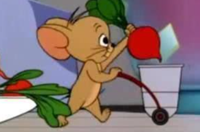 提高小红书服务方法及购买可行性 