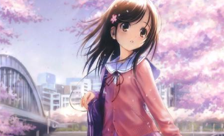 彩虹代刷网更新v6.2.5版本更新内容 