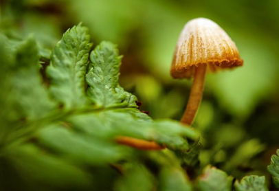 小红书增加收藏和评论赞的方法 