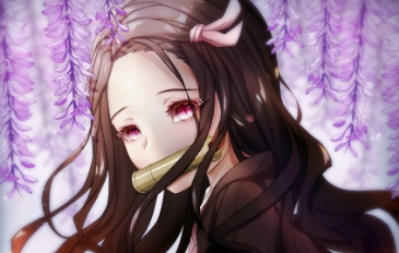 今日头条运营涨真人粉丝的方法 