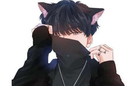 哔哩哔哩直播前期快速涨粉丝的攻略 