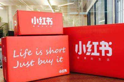 小红书刷粉丝会掉的原因 